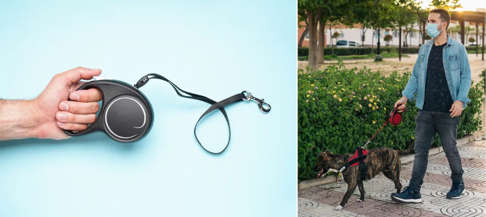 Example of Retractable Leash