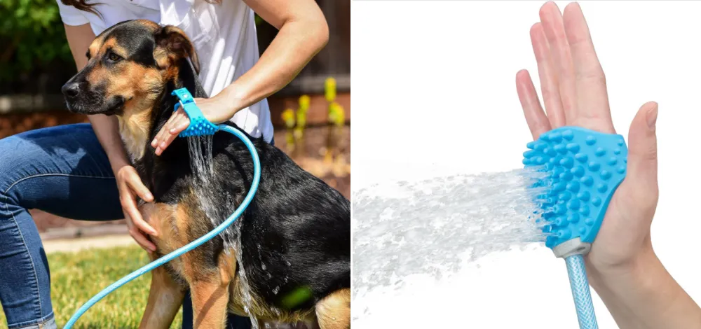 Cup or sprayer for rinsing German Shepherd 