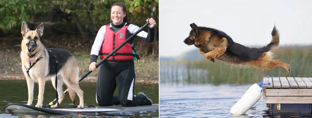 Top Water Activities for German Shepherds