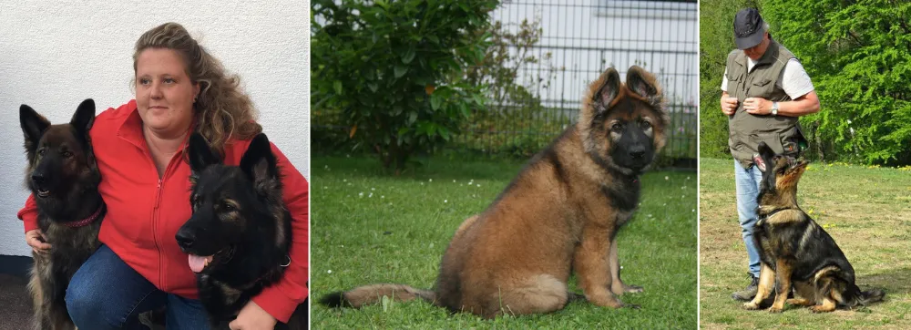 Von Besima German Shepherd Breeder, Germany